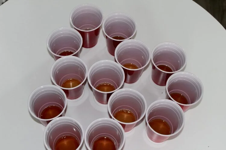 Hungry Hungry Hippos